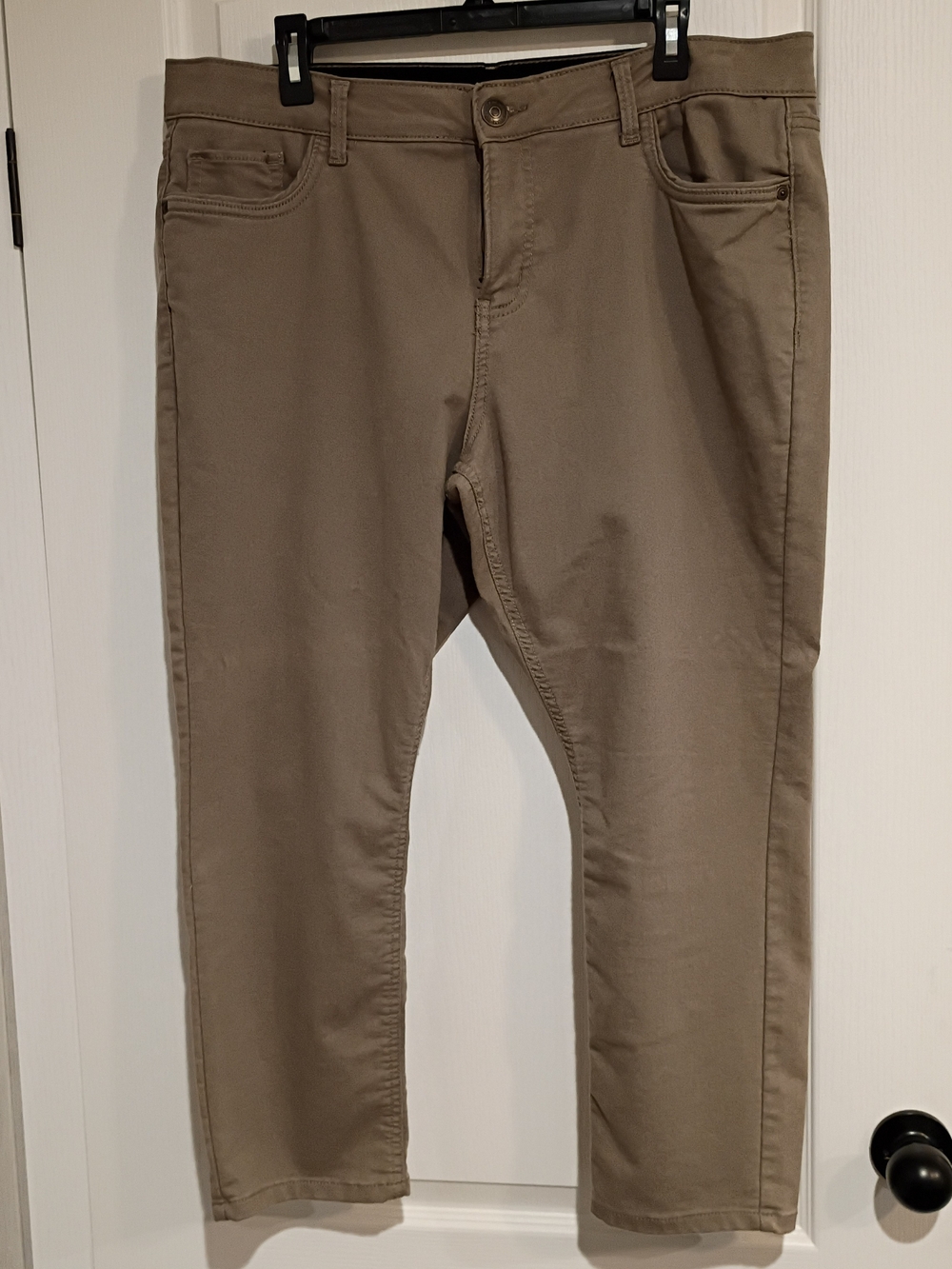 Liz Claiborne - Neutral Tan Sara Slim Leg Mid-Rise - Size 18PS